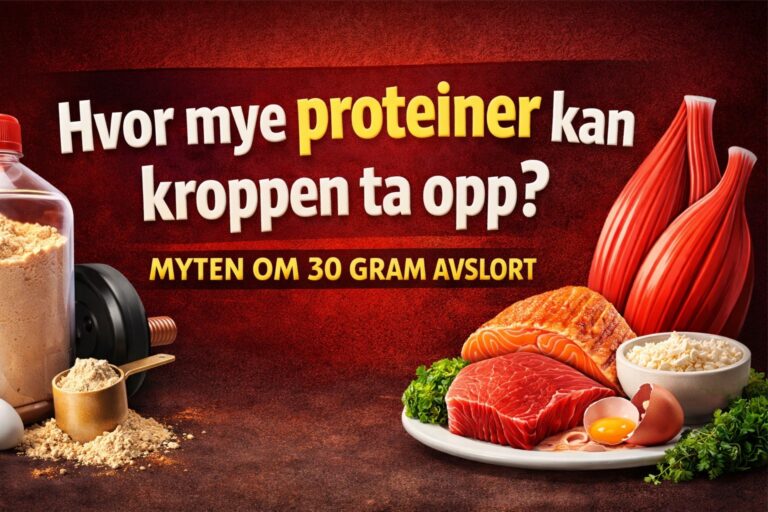Hvor mye proteiner kan kroppen ta opp