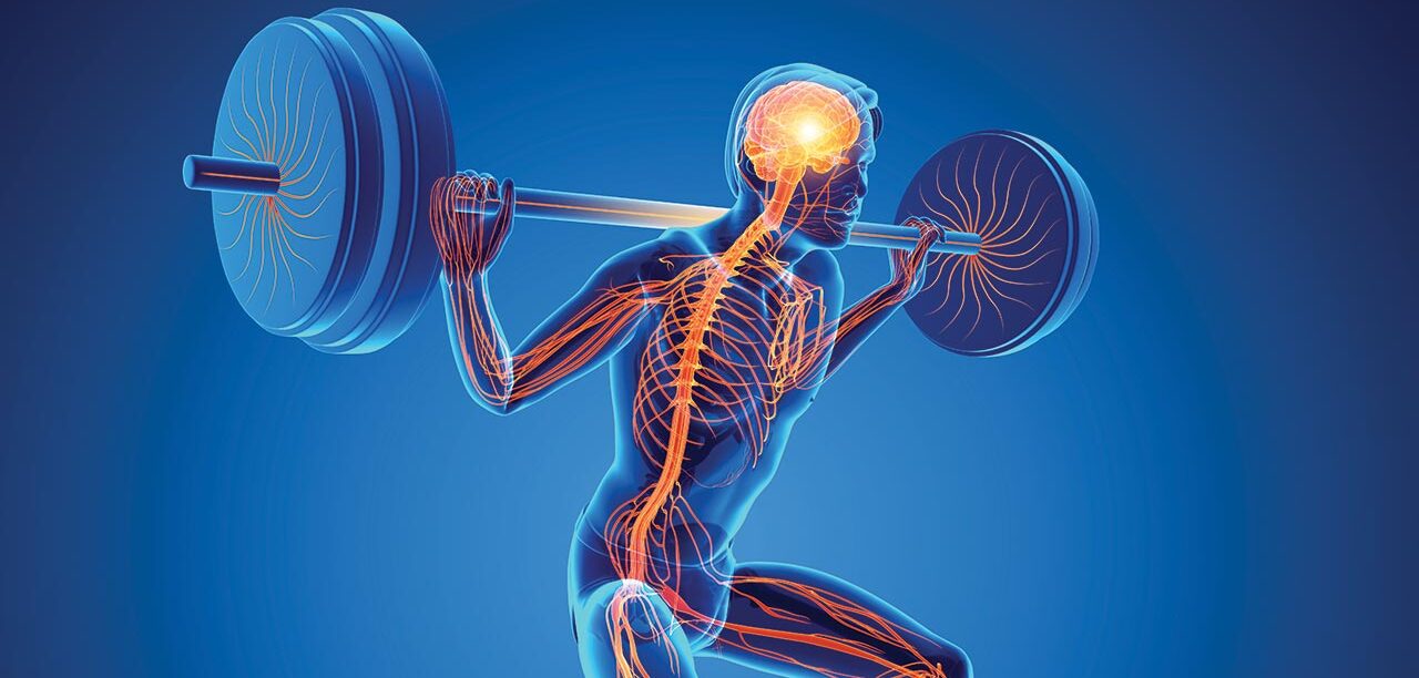 rumpetrening for muskelvekst