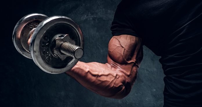 Effektiv helkroppsøkt på 30 minutter