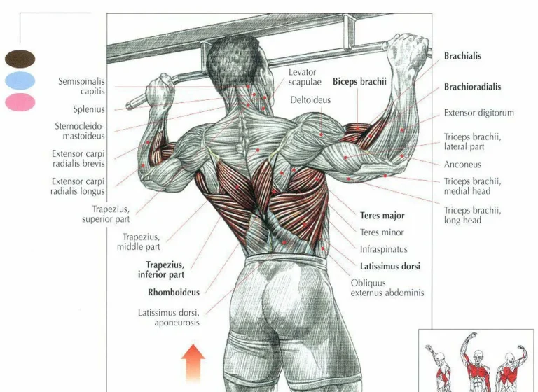 Hvordan klare pull-ups