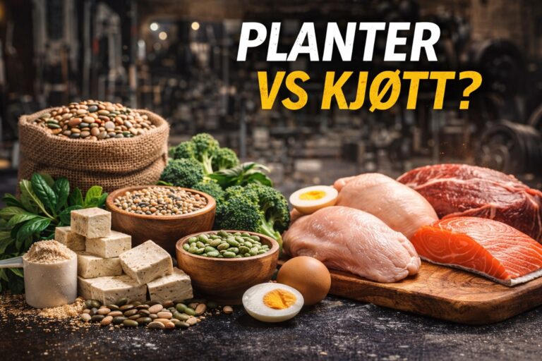 PLANTER VS KJØTT?