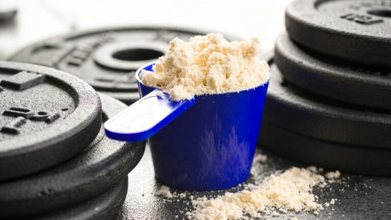 myseproteinisolat vs myseproteinkonsentrat