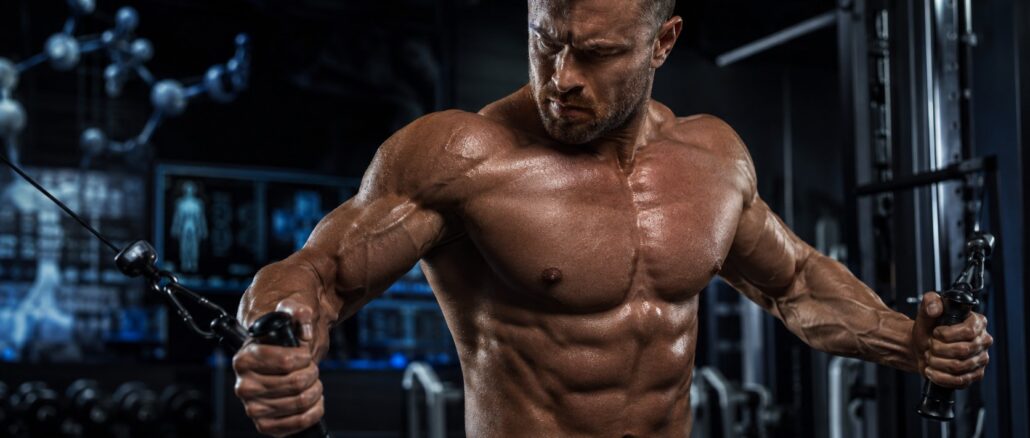 Myostatin